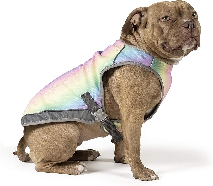 Canada Pooch Dog Cooling Vest - Evaporative Cooling Vest for Dogs with Breathable Mesh Material & Reflective Lining, Adjustable Dog Cooling Vest Great for Dogs 32 (31-33" Back Length), Rainbow