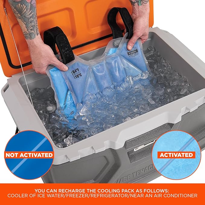 Ergodyne Chill-Its 6210 Phase Change Lightweight Cooling Ice Vest, Cooling Relief for All Environments, Cooling Towel Included