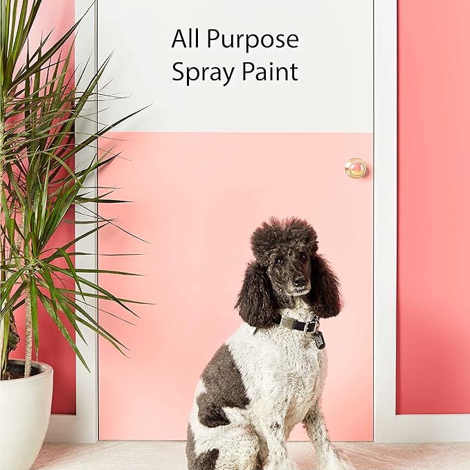 Krylon K02734007 Fusion All-In-One Spray Paint for Indoor/Outdoor Use, Satin Bright White, 12 Ounce (Pack of 2)