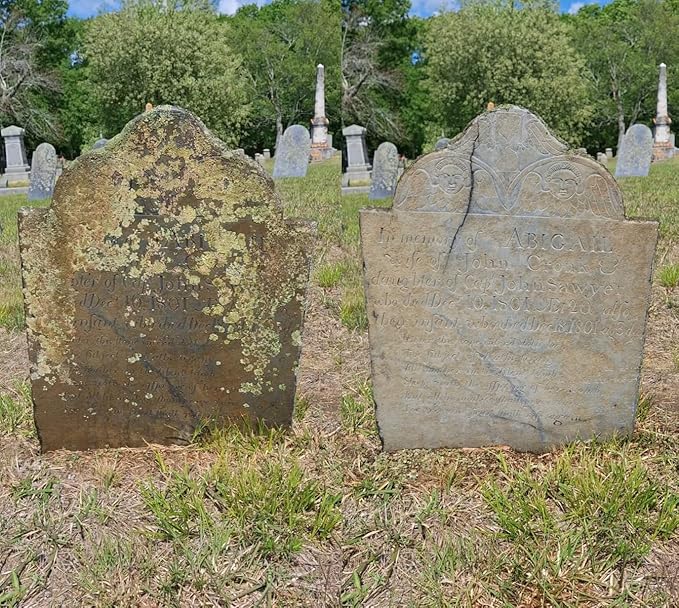 Endurance Gravestone & Monument Cleaner - 1 Quart (Spray Bottle)