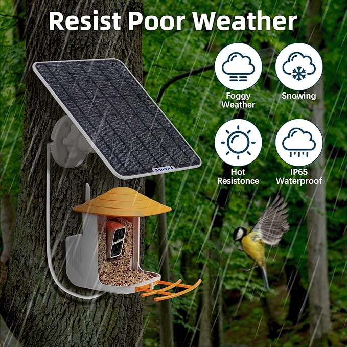 8W 2 Pack Solar Panel for Bird Feeder Camera,USB C Solar Panel Charger Match to Rechargeable Battery Powered Security Cameras,Ring Camera Solar with IP65 DC USB Ports 9.8ft Cable 360° Swivel Bracket