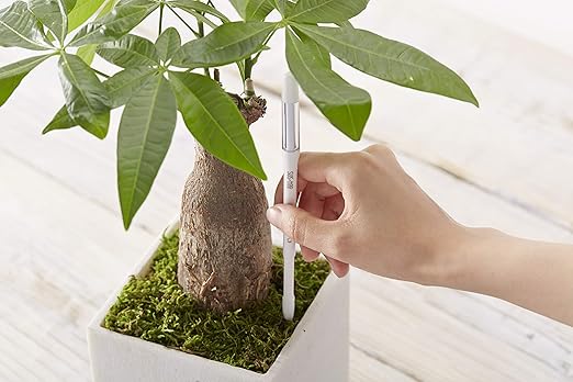 Sustee Aquameter, Set of 5, Plant Soil Moisture Sensor (Green, Medium)