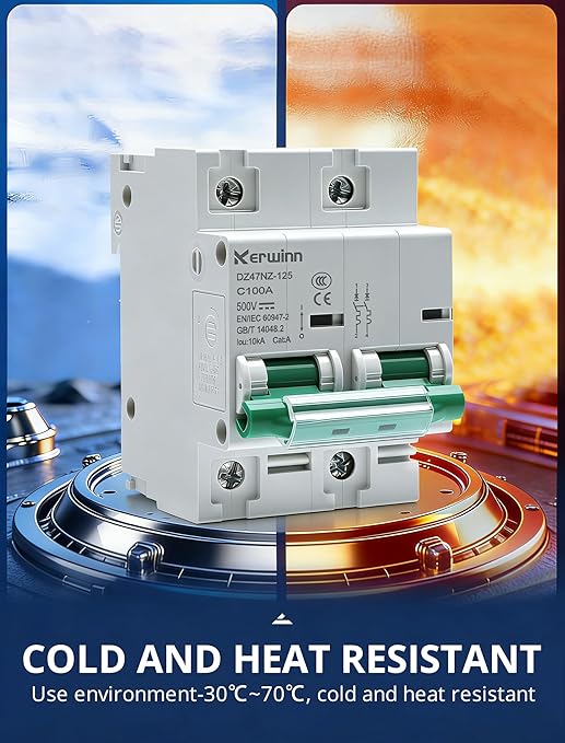 Miniature Circuit Breaker 500V DC Circuit Breaker 2Pole 125Amp din Rail Breaker DIN Rail Mount for Marine Power Systems,Solar photovoltaic Systems(C125A)