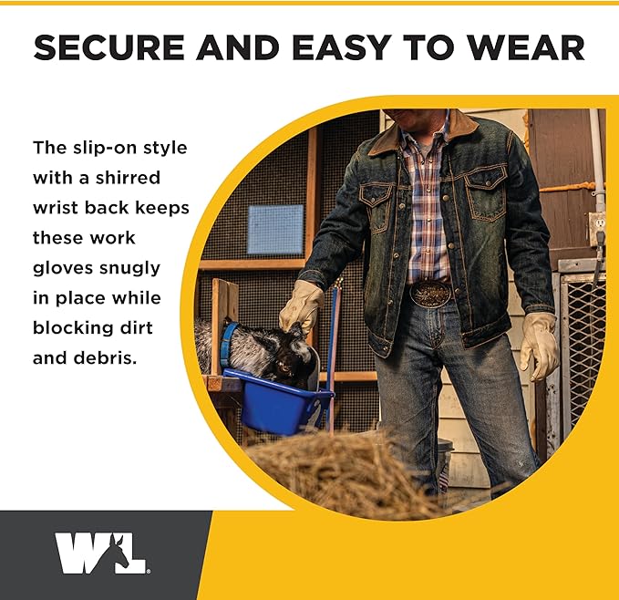 Wells Lamont Leather Work Gloves for Men – Grain Cowhide, Reinforced Palm – Ideal for Construction, Farming, Ranching – Ergonomic Fit, Keystone Thumb, Elasticized Wrist – Beige, Medium (1130M)