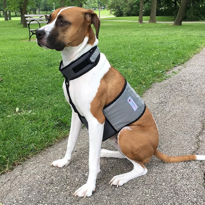CoolerDog Dog Cooling Vest & Cooling Collar – Ice Vest for Hot Weather Heat Relief, Re-Freezable Pure Water Inserts (Medium 22”–27” Girth)
