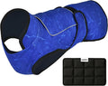 Dog Cooling Vest with Ice Pack – 2-Layer Evaporative Cooling Jacket with High Collar, UV Protection & Size-Matched Ice Pack – Cooling Vest for Dogs for Hot Weather (Blue Aqua, Large)