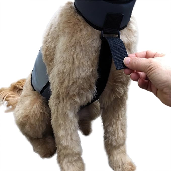CoolerDog Dog Cooling Vest & Cooling Collar – Ice Vest for Hot Weather Heat Relief, Re-Freezable Pure Water Inserts (Large 27”–34” Girth)