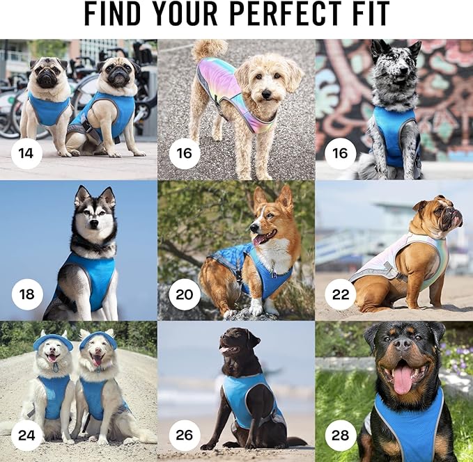 Canada Pooch Dog Cooling Vest - Evaporative Cooling Vest for Dogs with Breathable Mesh Material & Reflective Lining, Adjustable Dog Cooling Vest Great for Dogs 12 (11-13" Back Length), Aqua