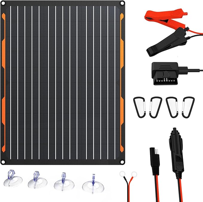 FlexSolar 20W 12V Solar Panel Battery Charger Maintainer Kits Trickle Charger with Built-in Charge Controller, Cigarette Lighter, Alligator Clips, O-Rings OBDII Connector for Car, Truck,Tractor, Boat