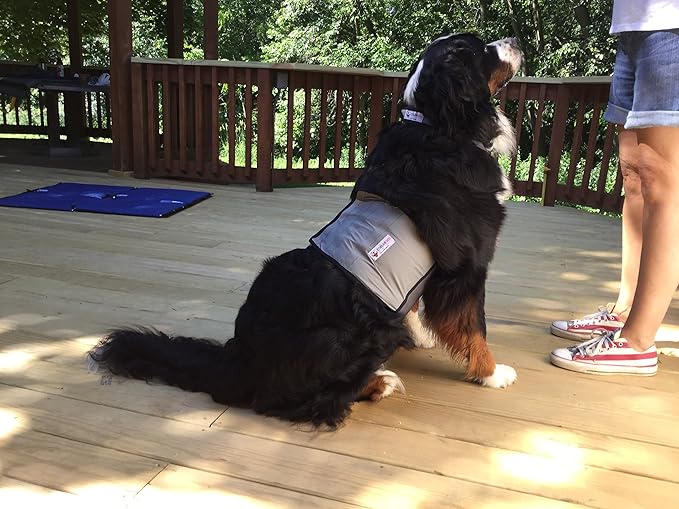CoolerDog Dog Cooling Vest & Cooling Collar – Ice Vest for Hot Weather Heat Relief, Re-Freezable Pure Water Inserts (Large 27”–34” Girth)
