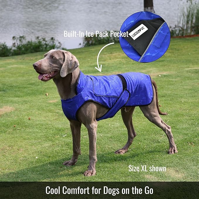 Dog Cooling Vest with Ice Pack – 2-Layer Evaporative Cooling Jacket with High Collar, UV Protection & Size-Matched Ice Pack – Cooling Vest for Dogs for Hot Weather (Blue Aqua, X-Small)