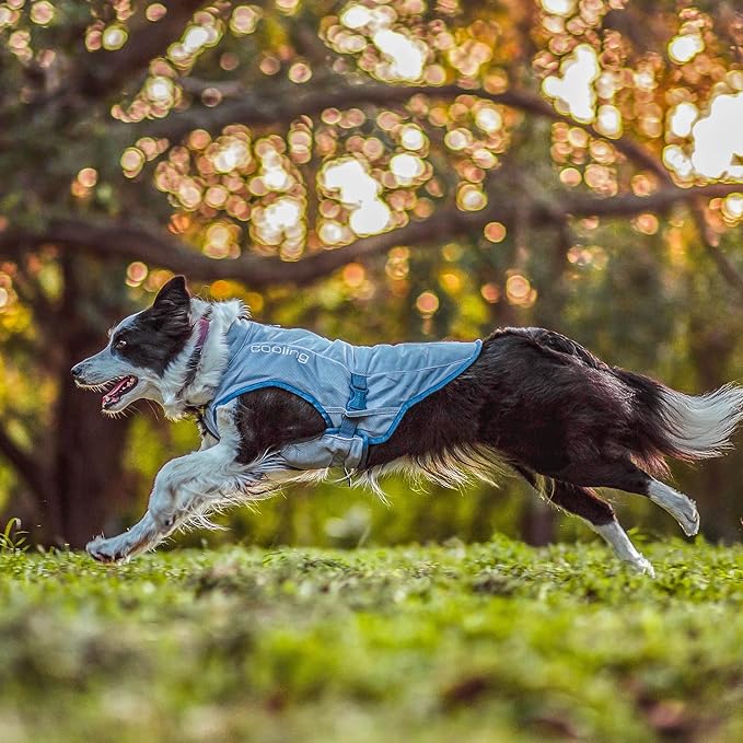 Kurgo Dog Core Cooling Vest - Summer Cooling Jacket - Evaporative Cooling Coat - Harness-Compatible - Reflective Accents - Grey - Large