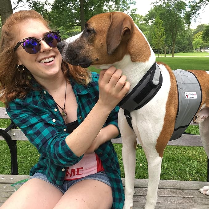 CoolerDog Dog Cooling Vest & Cooling Collar – Ice Vest for Hot Weather Heat Relief, Re-Freezable Pure Water Inserts (Medium 22”–27” Girth)